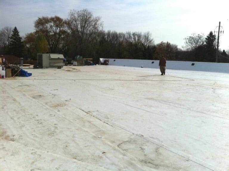 Our Green Roof - Aquatics Unlimited