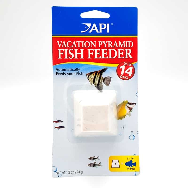 vacation pyramid fish feeder