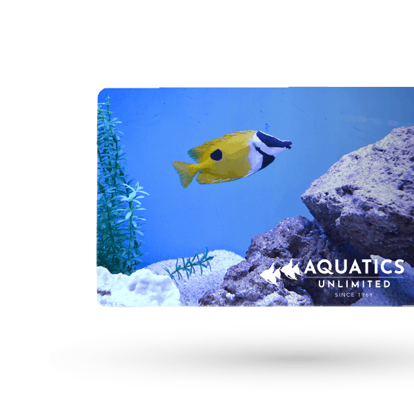 Home Page Aquatics Unlimited