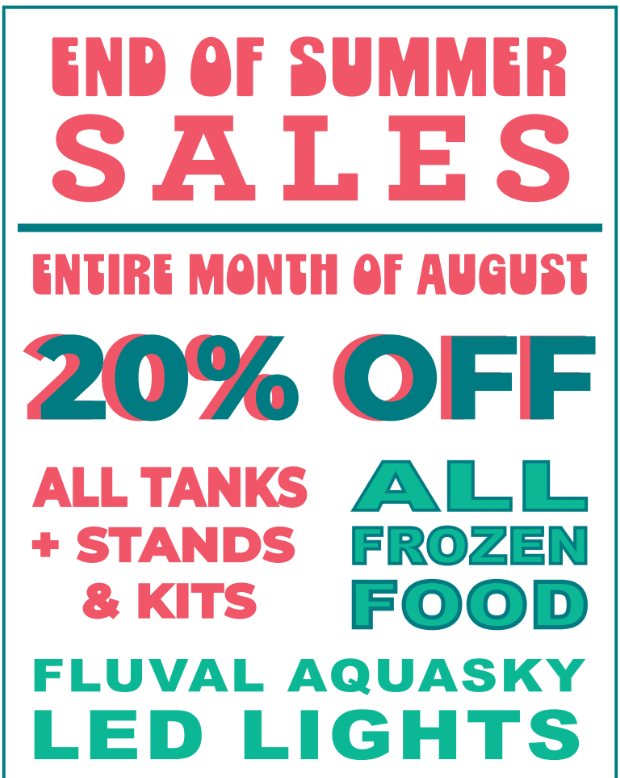 Bright poster advertising “End of Summer Sales” for the entire month of August, with 20% off all tanks, stands, kits, frozen food, Fluval Aquasky, and LED lights. Text is in bold pink, teal, and white.