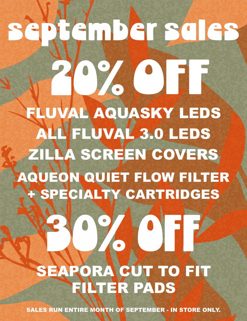 Promotional poster with an orange and green leaf background announcing September sales: 20% off select aquarium LED lights, screen covers, and filters; 30% off Seapora filter pads. Sales run September, in-store only.
