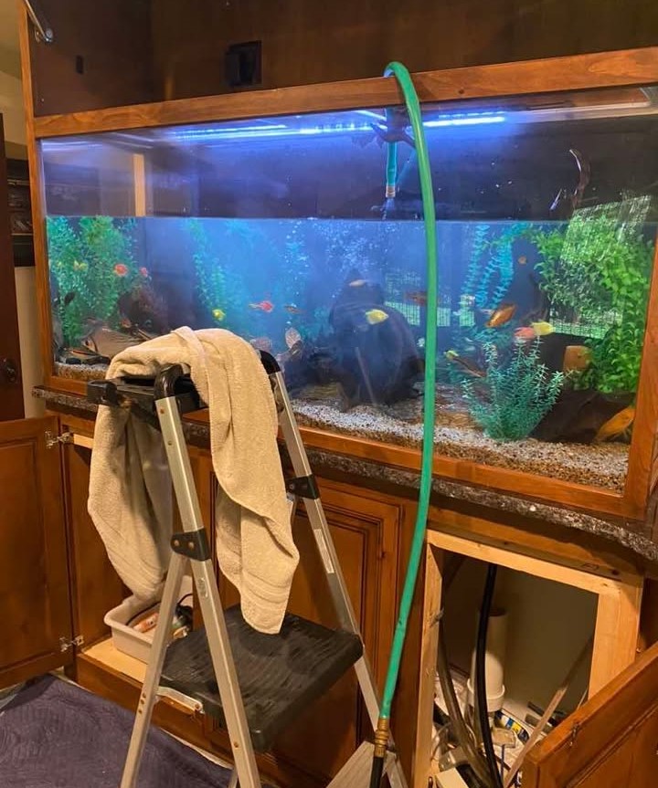477857068 4133569723584961 8596507233931175352 N A large fish tank filled with colorful fish and aquatic plants hints at the expert touch of an aquarium maintenance service. A green hose is attached to the tank, while a step ladder with a towel draped over it suggests cleaning in progress.