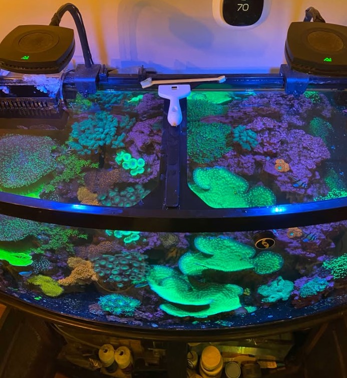 479979480 502696479228396 449397534810608835 N A glowing aquarium teeming with corals and marine life under blue fluorescent lighting, cared for impeccably by our aquarium maintenance service. Two filtration devices sit atop, and a cleaning tool is attached to the glass. The vibrant setup bursts with green and purple hues.