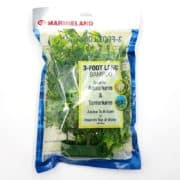A package of Marineland 3-foot long bamboo artificial plant, designed for aquariums and terrariums. The packaging is blue and clear, displaying the green bamboo plant inside.