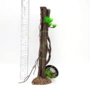 A plastic tree ornament with green leaves stands upright on a brown rocky base next to a clear ruler for scale. The ornament also has twisted vines and a round black label at the base.