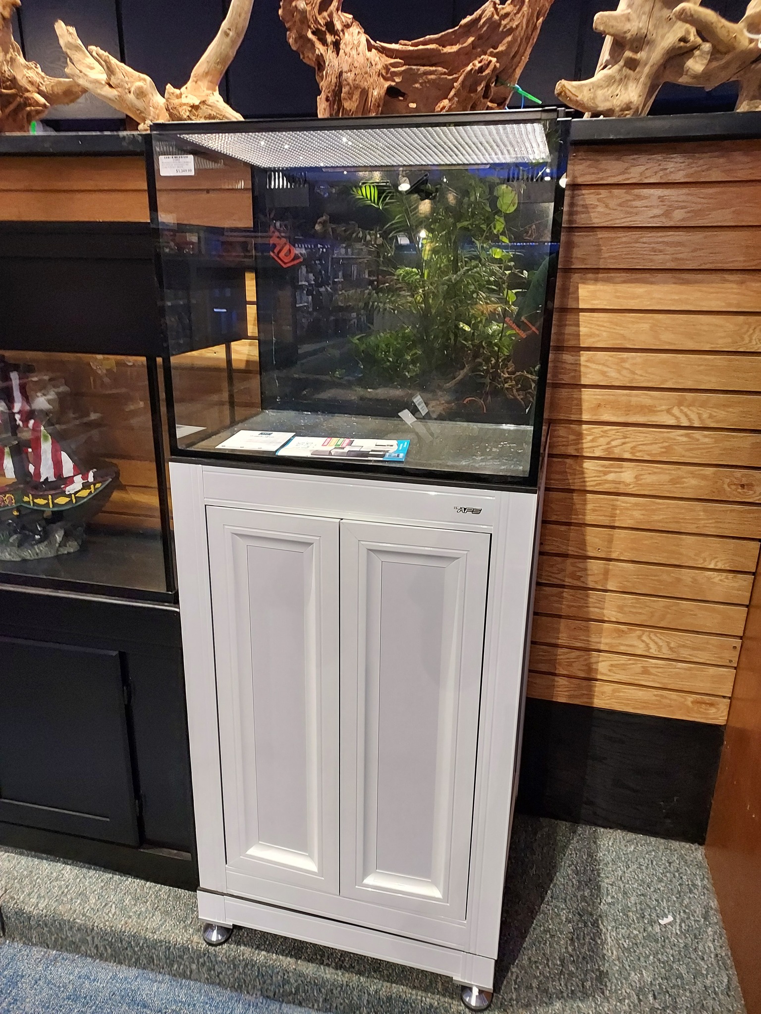 A glass aquarium with plants inside sits on top of a white cabinet with panel doors, displayed indoors next to another aquarium and wooden decor pieces.