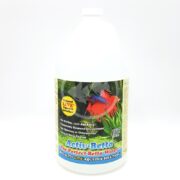 A white gallon of WORLD WIDE IMPORTS ACTIV BETTA WATER shows a red and blue betta fish with text highlighting a balanced, chlorine-free environment.