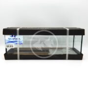 A SEAPORA 5 PLACE BETTA aquarium sits on a white surface, featuring black trim and measures 2.3 gallons. It has two gray straps and a blue label on the left with a fish logo.
