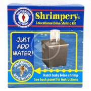 The SF BAY SHRIMPERY Educational Brine Shrimp Kit features a vibrant blue box with the enticing phrases Just add water! and Hatch baby brine shrimp, along with a captivating magnified shrimp image, making it perfect for any curious aquarist.