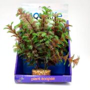 The AQUALIFE RED GREEN CABOMBA PLANT 8 PP1722 is showcased in Plant Scapes packaging, featuring a small blue box with a rocky base and an illustrated background of fish swimming.