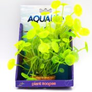 The vibrant AQUALIFE YELLOW GREEN LYSIMACHIA PLANT 8 PP1721 features vivid yellow-green round leaves, elegantly packaged in purple and blue Aqua and Plant Scapes packaging with a small brown base.