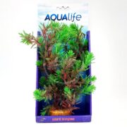 The AQUALIFE GREEN MYRIOPHYLLUM PLANT, showcased in a Fluval AQUAlife box, features lush green and reddish leaves. Its Myriophyllum design is highlighted against a blue cardboard backing for a water-themed appeal.