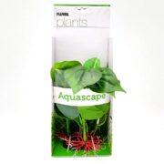 The FLUVAL ANUBIAS plant package, sold under Fluval Plants Aquascape, includes lifelike green plastic leaves with red roots, all packed in a cardboard box.