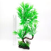 The UT PARADISE GREEN FERN features tall, spiky leaves in a sleek black base with green accents, reminiscent of an underwater-inspired plant. A ruler beside it highlights its impressive height against a plain white backdrop.