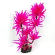 The UT PARADISE FUSCHIA FERN features vibrant pink spiky leaves, standing over a foot tall in a black base. A ruler alongside showcases its height, with small fuschia and green accents adding detail at the base.