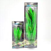 The UT GREEN NILE GRASS comes in two package sizes. The smaller pack contains a few lush plants, while the larger includes more, with both featuring vivid green leaves against a rocky backdrop on the packaging—ideal for enhancing any aquatic landscape.