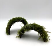 Two small, curved arches of MOSS - CHRISTMAS MOSS BRIDGE Vesicularia sp. are showcased against a plain white background, with the green moss giving them a natural, organic look reminiscent of enchanting bridges in nature.