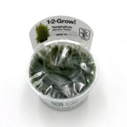 The Tropica 1-2-Grow! small container holds Taxiphyllum alternans Taiwan from the Moss Taiwan Tissue Culture line, visible through a clear plastic lid with an informative label.