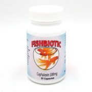 A white bottle labeled FISHBIOTIC with an illustration of orange fish in a bowl. The label also reads Cephalexin 500mg, 30 Capsules. The bottle is on a white background.