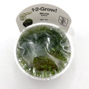 A small plastic cup labeled 1-2-Grow! Riccia fluitans contains green aquatic plants under a clear lid. The label features plant info and the Tropica logo. The container sits on a white surface.