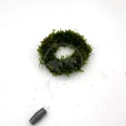 A circular clump of green moss on a white surface, with a small cylindrical weight attached by a thin wire at the bottom left of the image.
