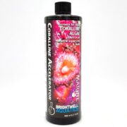 A 500ml bottle of Brightwell Aquatics Coralline Accelerator marine aquarium supplement with a colorful label featuring coralline algae and white text highlighting its benefits for coralline algae growth in marine aquariums and reefs.