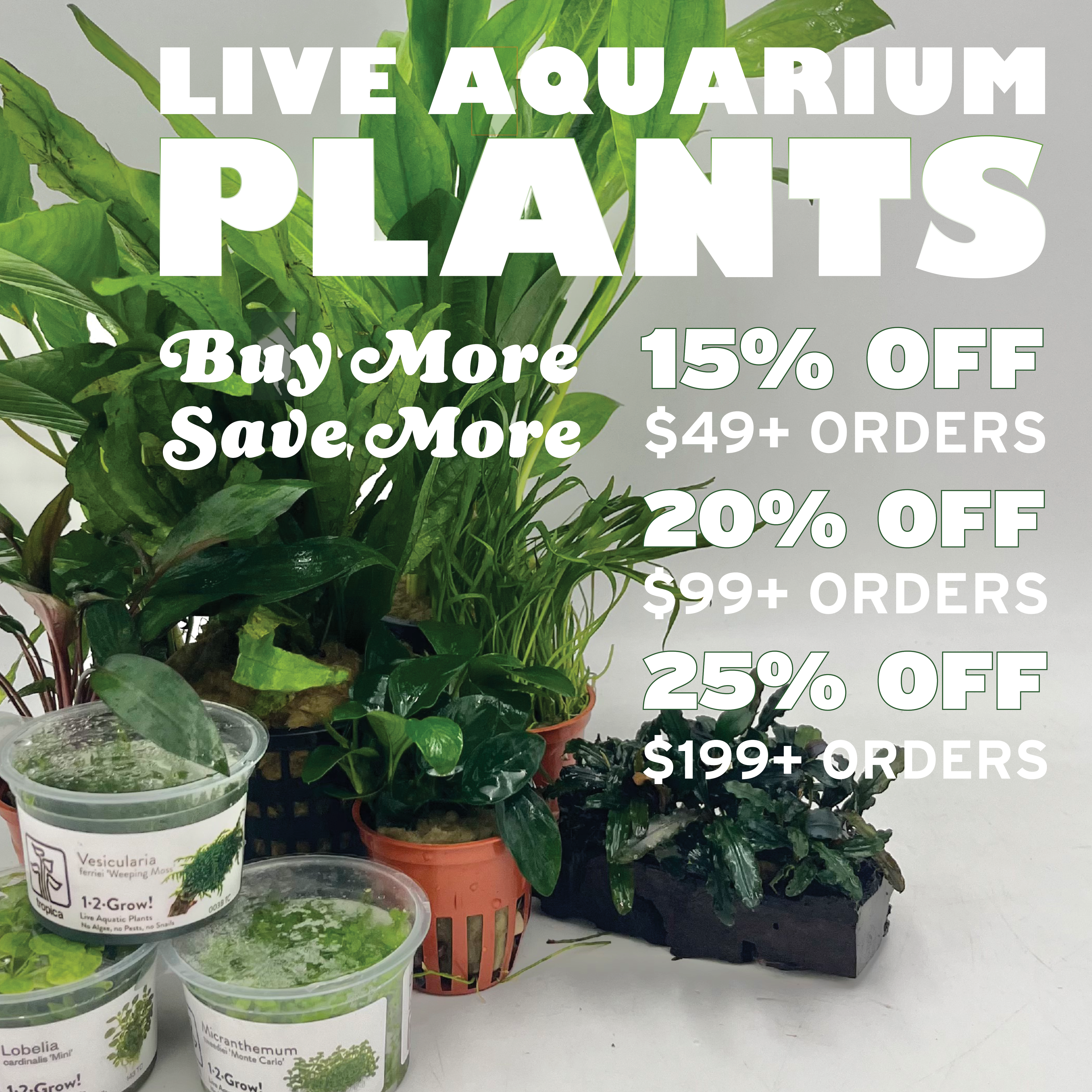 plant tier promo image