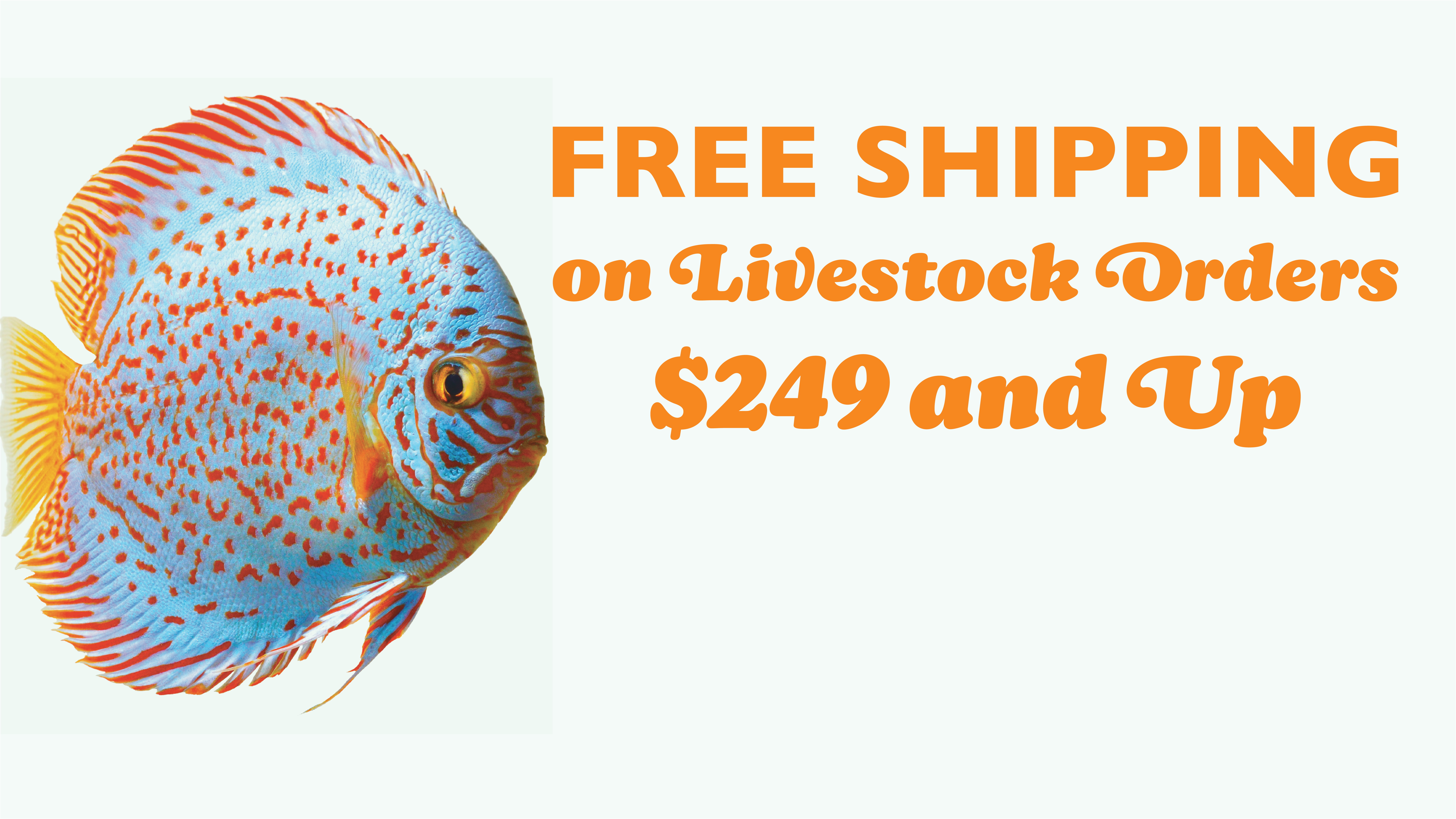 livetock shipping promo image