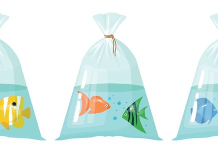 Three clear plastic bags filled with water, each containing colorful cartoon fish: the first with a yellow fish, the second with orange and green fish, and the third with blue and purple fish, all on a white background.