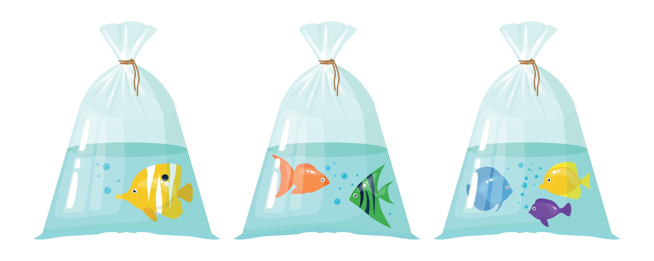 Three clear plastic bags filled with water, each containing colorful cartoon fish: the first with a yellow fish, the second with orange and green fish, and the third with blue and purple fish, all on a white background.