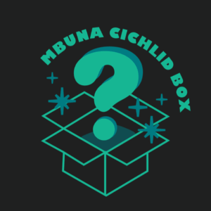 A turquoise outline of an open box with a large question mark above it, sparkles around, and the words Mbuna Cichlid Box curved over the top, all on a black background.