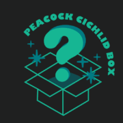 A teal open box with a large question mark rising from it and sparkles around, with the curved text Peacock Cichlid Box above, all on a dark background.