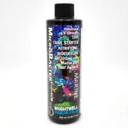 A black bottle labeled MicroBacter Start XLM by Brightwell Aquatics, a tank starter for marine fish and reef aquaria. The label features colorful images of fish and coral. The bottle size is 250 ml (8.45 fl oz).