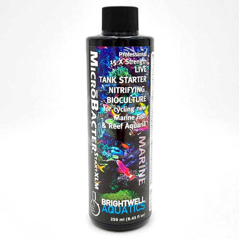 BRIGHTWELL MICRO BACTER START XLM MARINE 250 ML FRONT.jpg A black bottle labeled MicroBacter Start XLM by Brightwell Aquatics, a tank starter for marine fish and reef aquaria. The label features colorful images of fish and coral. The bottle size is 250 ml (8.45 fl oz).