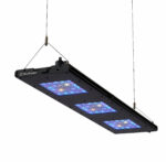 A rectangular LED grow light panel with three illuminated sections, emitting blue and white light, is suspended from the ceiling by two cables.