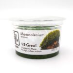 A clear plastic cup labeled Monosolenium tenerum 1-2-Grow! Live Aquatic Plants contains green aquatic plants. The label also reads No Algae, no Pests, no Snails and shows a close-up image of the plant.