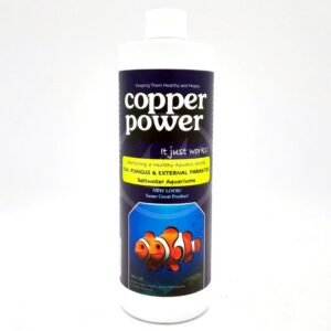 A white bottle of ENDICH COPPER POWER SW 16 OZ with a label showing clownfish, bold white text, and yellow highlights for treating ich, fungus, and external parasites in saltwater aquariums.