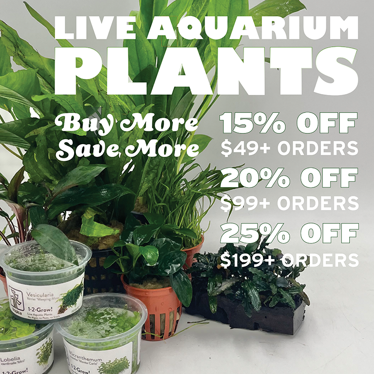 plant tier promo image